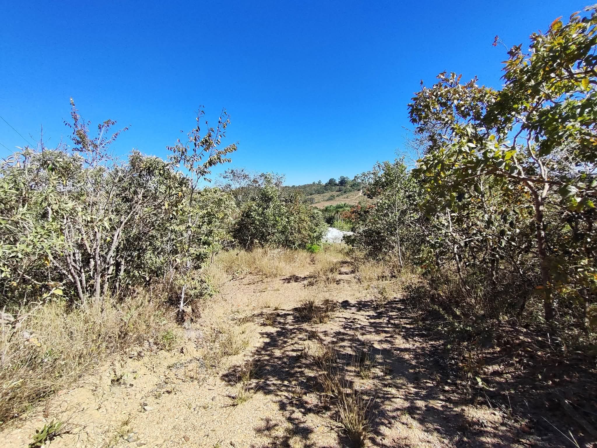 Área de 5,5 alqueires à Venda em Alexânia Goiás  — foto