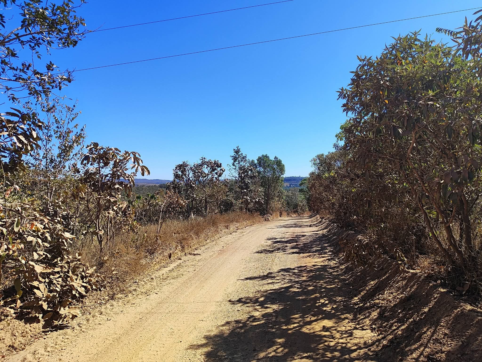 Área de 5,5 alqueires à Venda em Alexânia Goiás  — foto