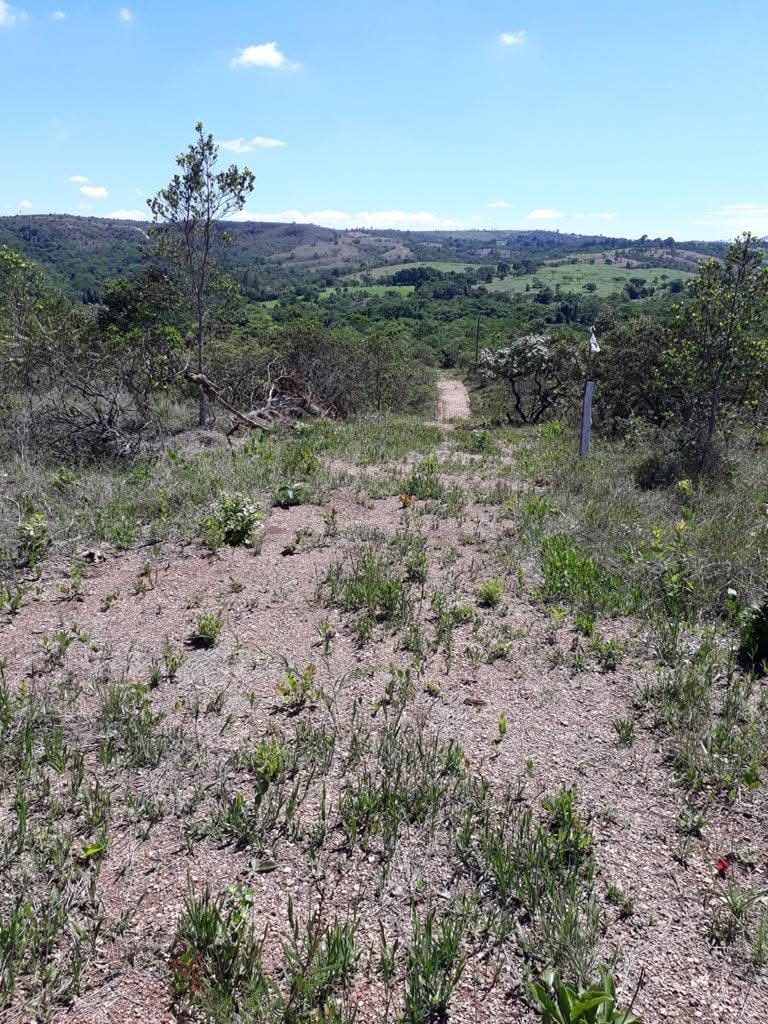 Área de 5,5 alqueires à Venda em Alexânia Goiás  — foto