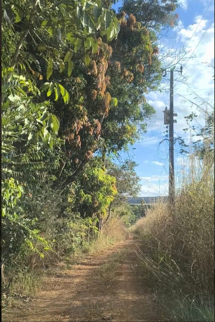 MARIAH IMOVEIS VENDE LINDA CHACARA PRODUTIVA E MUITO BEM LOCALIZADA  NA PONTE ALTA NORTE DO GAMA — foto