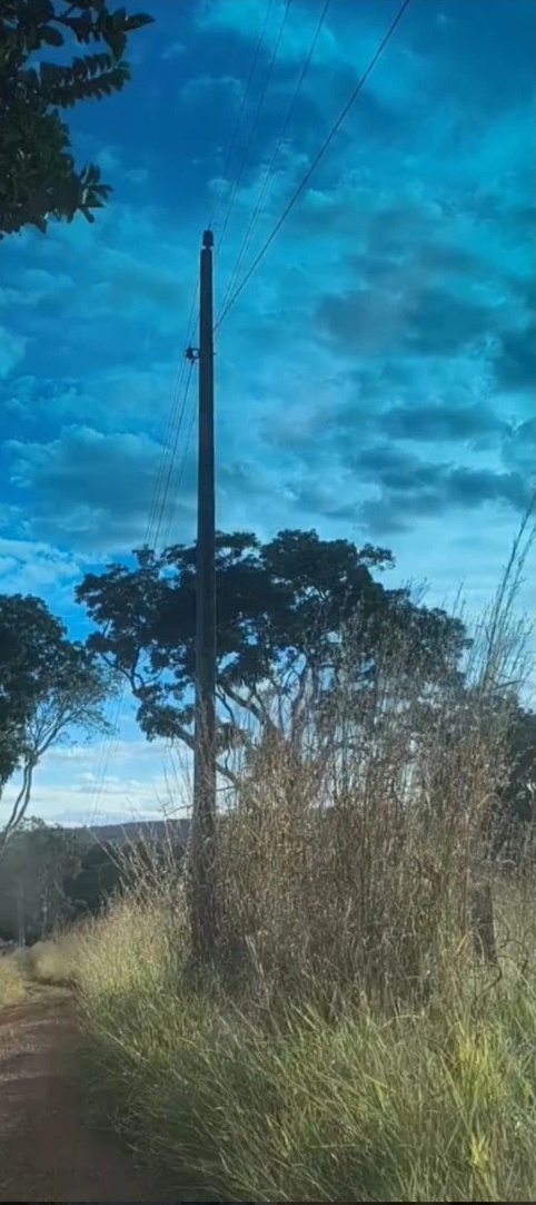 MARIAH IMOVEIS VENDE LINDA CHACARA PRODUTIVA E MUITO BEM LOCALIZADA  NA PONTE ALTA NORTE DO GAMA — foto