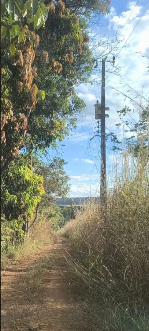 MARIAH IMOVEIS VENDE LINDA CHACARA PRODUTIVA E MUITO BEM LOCALIZADA  NA PONTE ALTA NORTE DO GAMA — foto