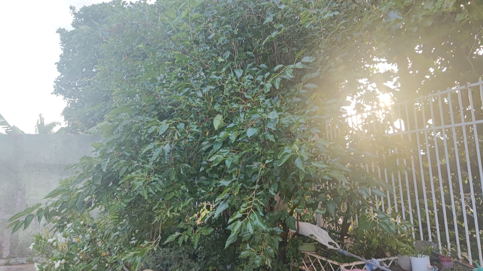 MARIAH IMÓVEIS VENDE EXCELENTE CASA AGEO NO SETOR SUL DO GAMA COM ESPAÇO AMPLO — foto