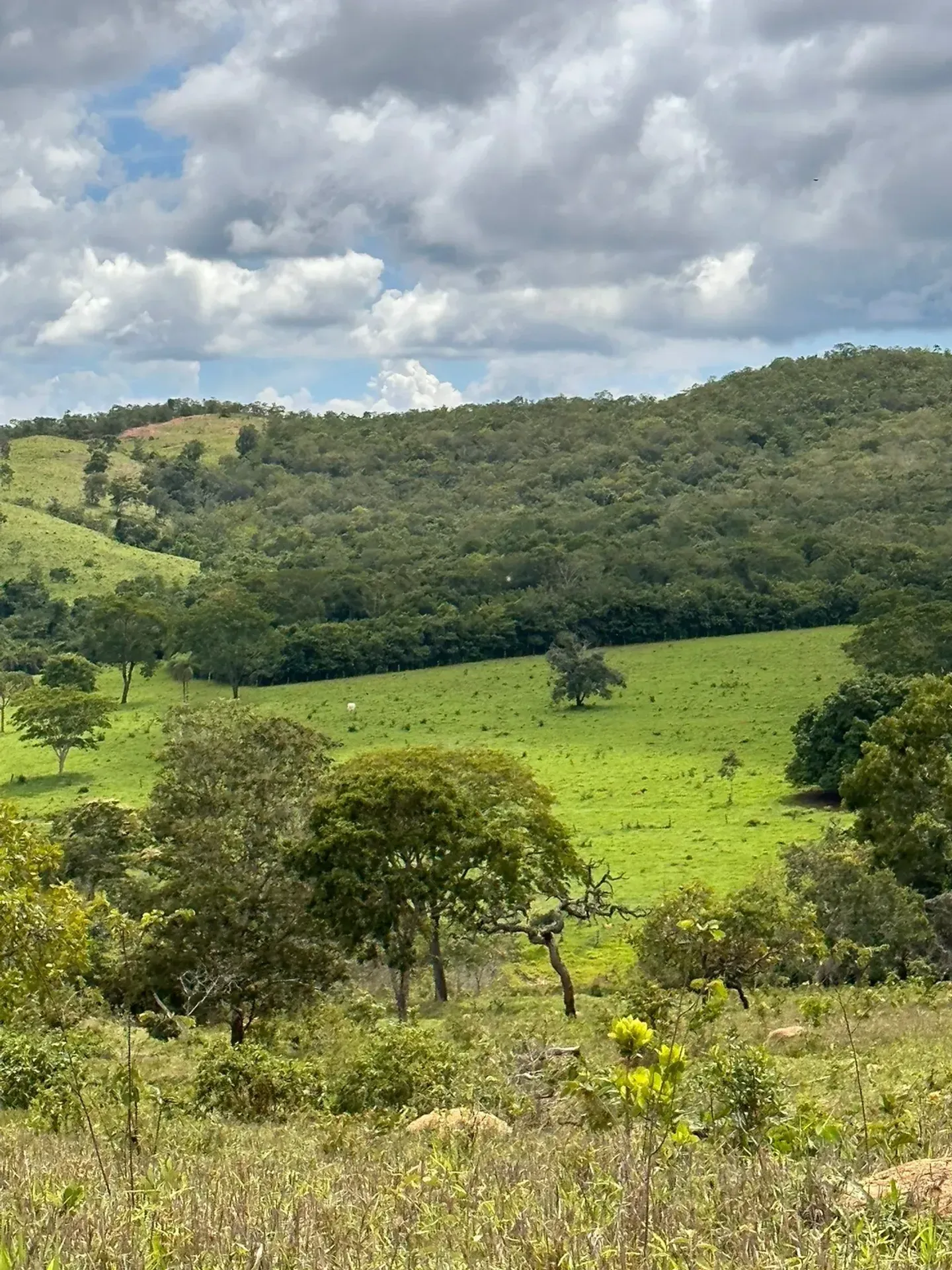Fazenda à Venda – Região de Vila Propício | Goiás/GO — foto