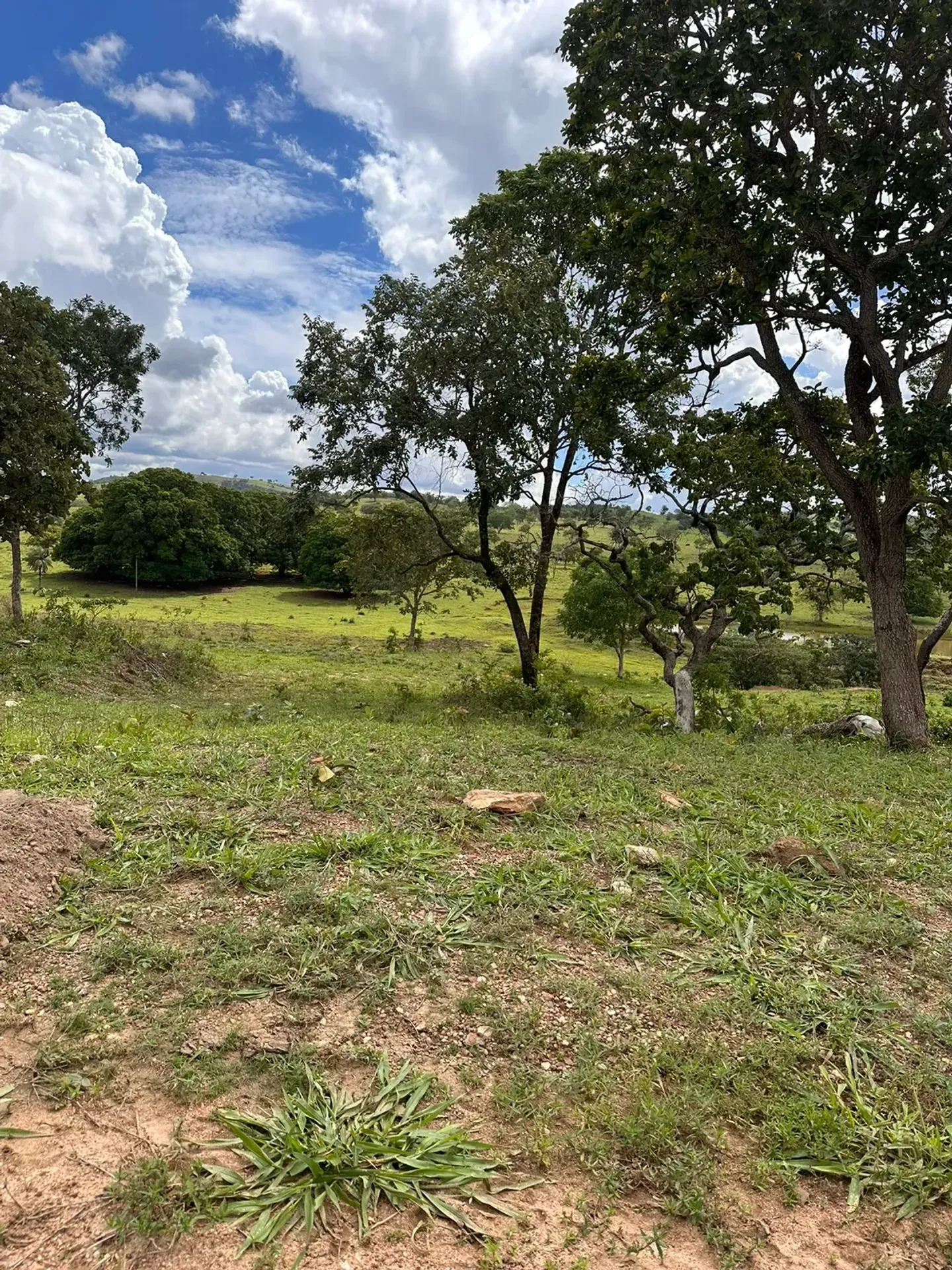 Fazenda à Venda – Região de Vila Propício | Goiás/GO — foto