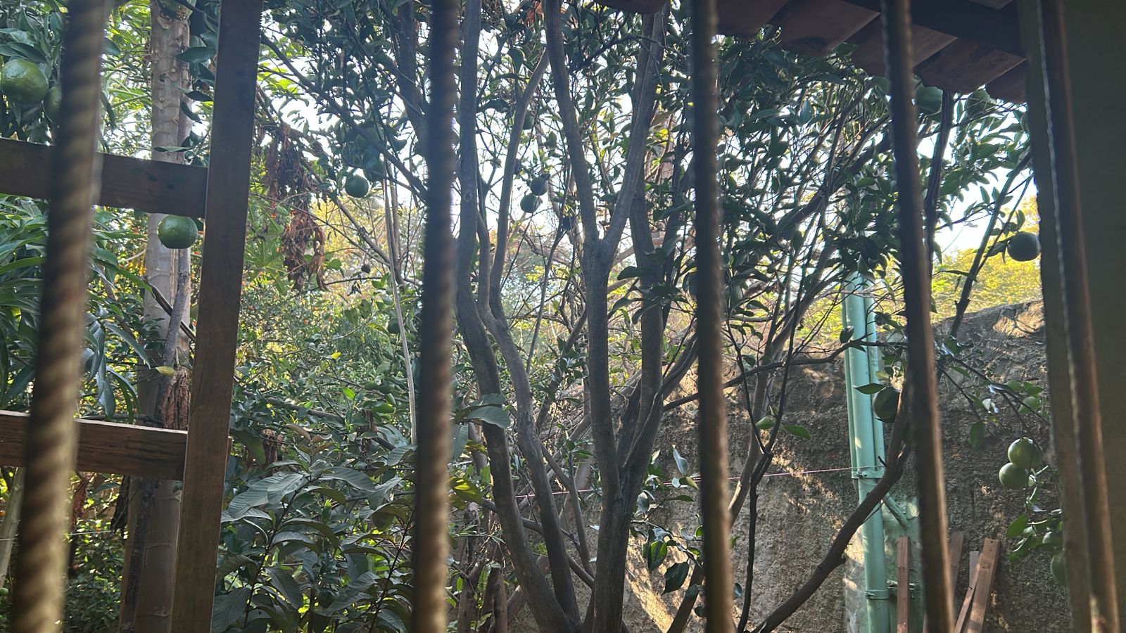 Casa à Venda – Conjunto Habitacional Madre Germana 2ª Etapa | Goiânia - GO — foto