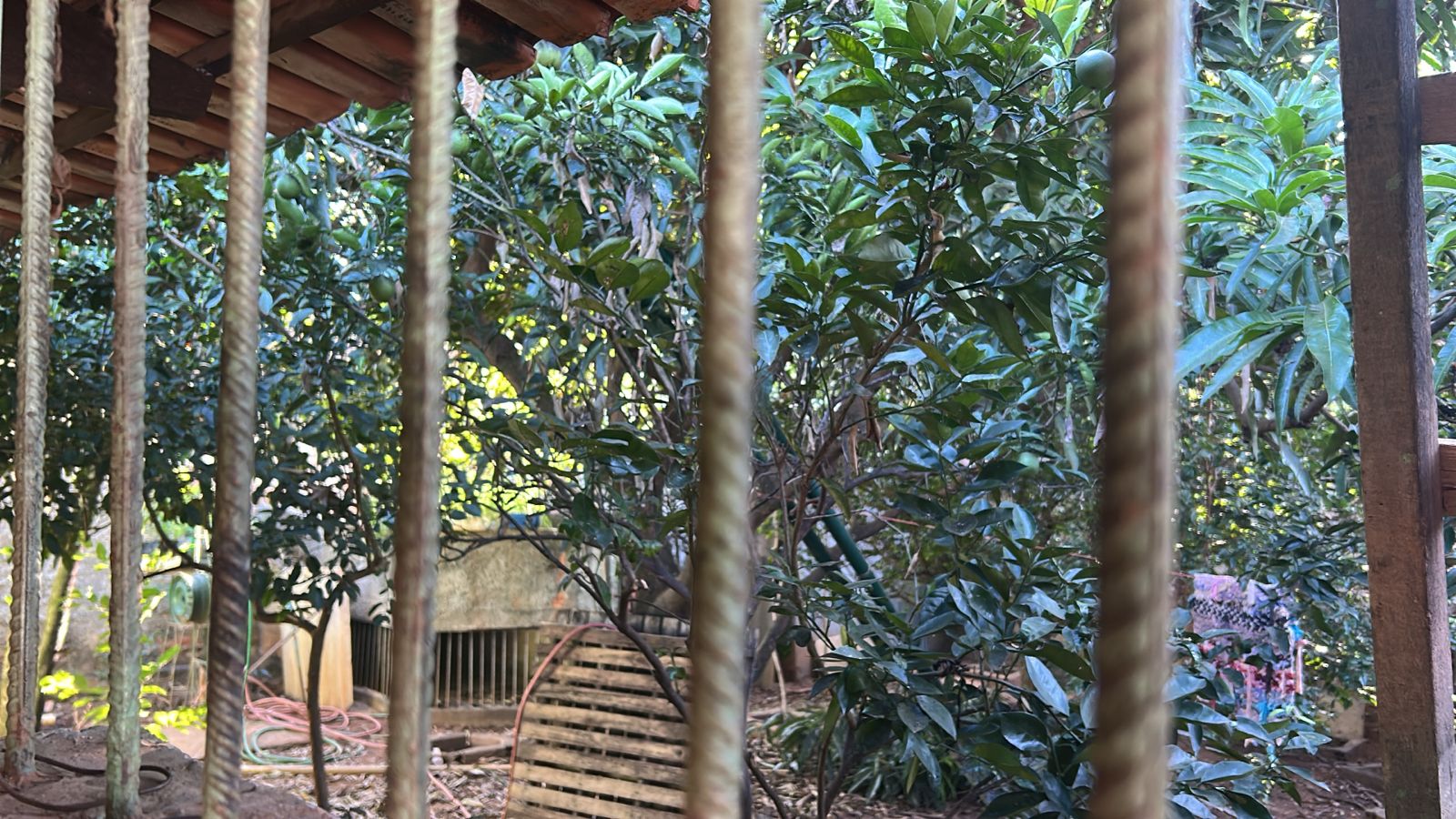 Casa à Venda – Conjunto Habitacional Madre Germana 2ª Etapa | Goiânia - GO — foto