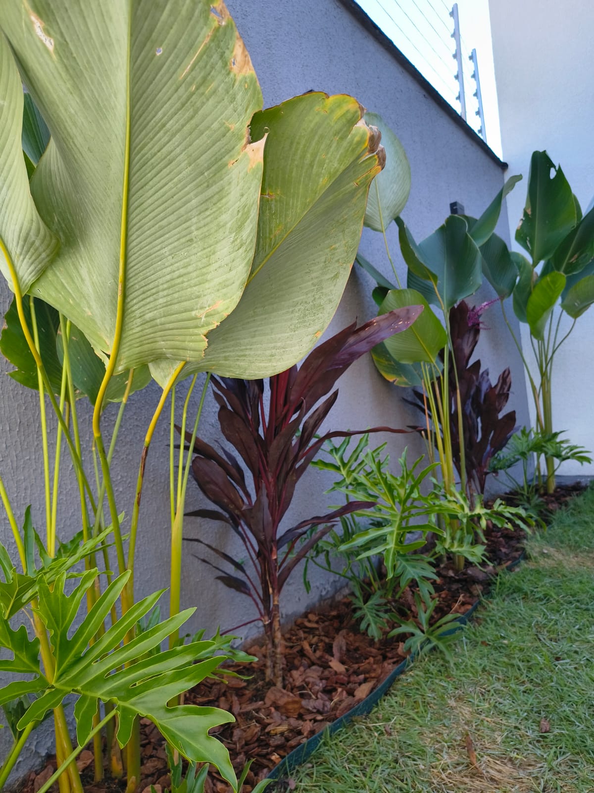 Linda casa de 3 quartos no Costa Paranhos — foto