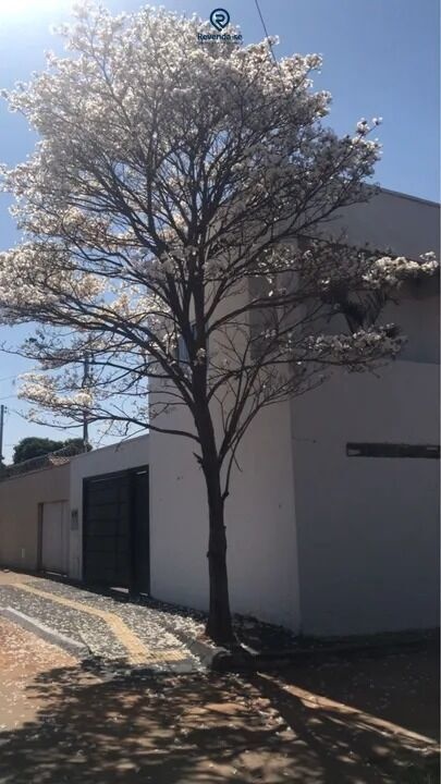 Casa Alto Padrão p-Waleria01 — foto