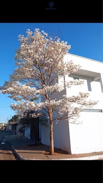 Casa Alto Padrão p-Waleria01 — foto