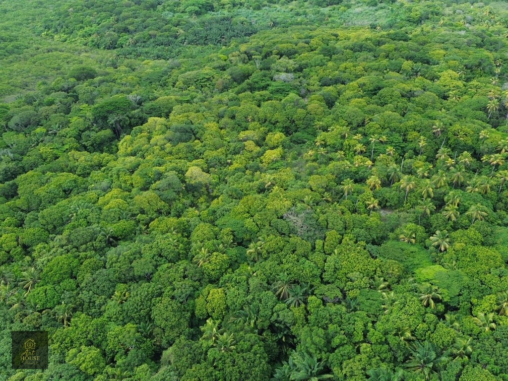 🌴 SÍTIO À VENDA – 3,7 HECTARES EM ITAMARACÁ 🌴 — foto