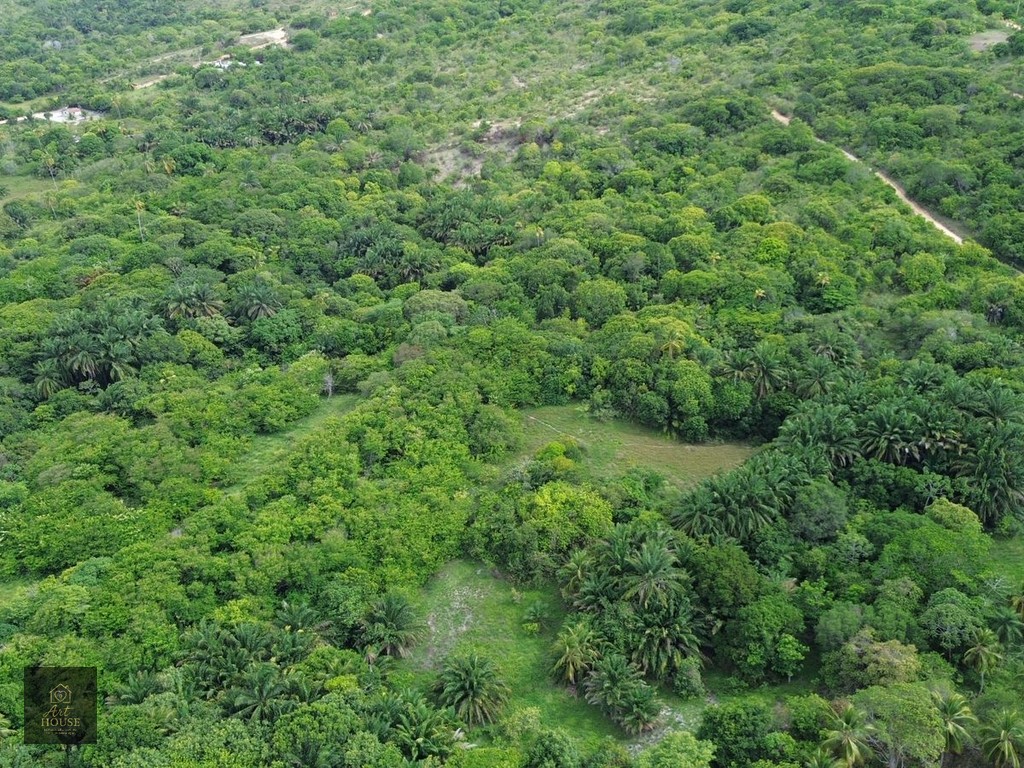 🌴 SÍTIO À VENDA – 3,7 HECTARES EM ITAMARACÁ 🌴 — foto