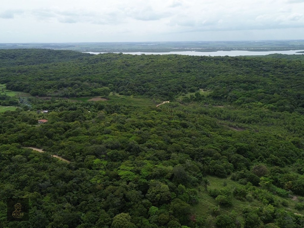 🌴 SÍTIO À VENDA – 3,7 HECTARES EM ITAMARACÁ 🌴 — foto