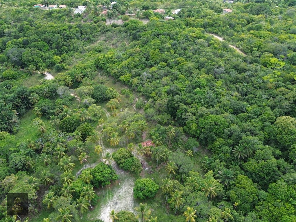 🌴 SÍTIO À VENDA – 3,7 HECTARES EM ITAMARACÁ 🌴 — foto
