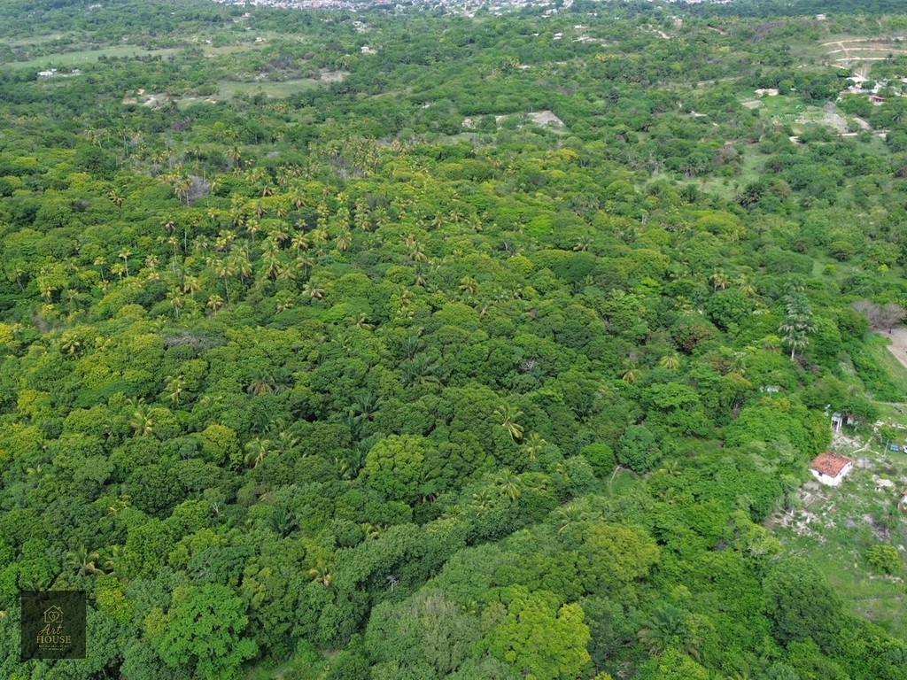 🌴 SÍTIO À VENDA – 3,7 HECTARES EM ITAMARACÁ 🌴 — foto