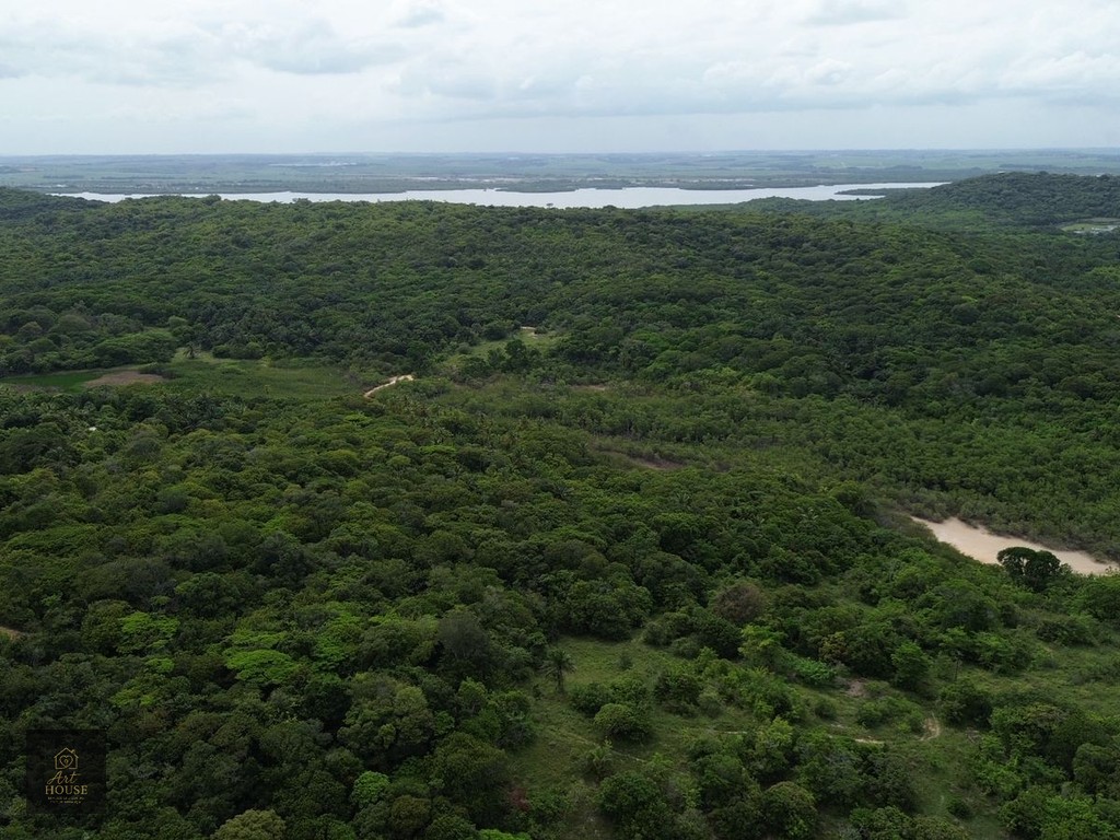 🌴 SÍTIO À VENDA – 3,7 HECTARES EM ITAMARACÁ 🌴 — foto