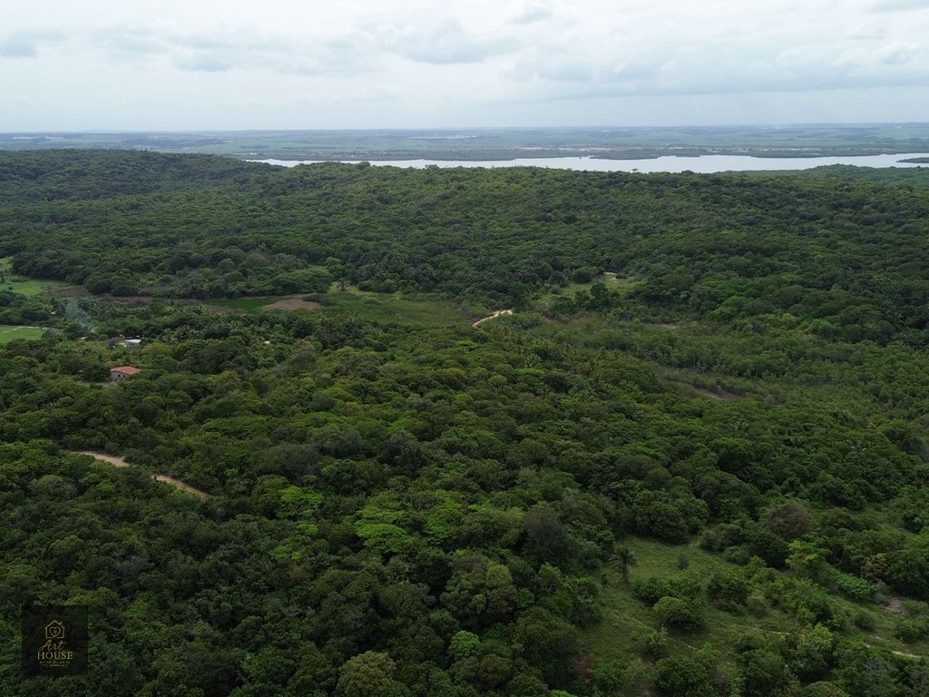 🌴 SÍTIO À VENDA – 3,7 HECTARES EM ITAMARACÁ 🌴 — foto