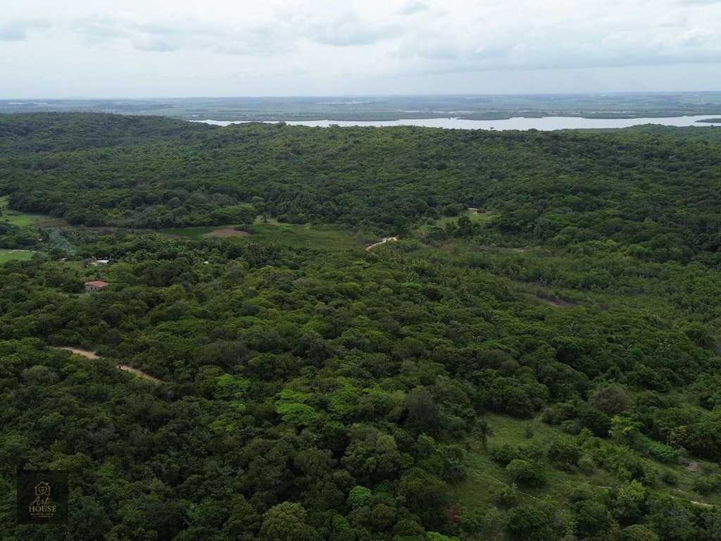 🌴 SÍTIO À VENDA – 3,7 HECTARES EM ITAMARACÁ 🌴 — foto