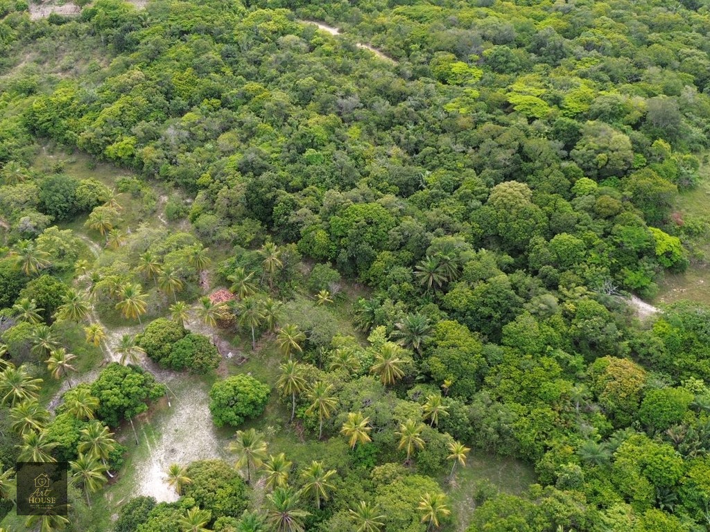🌴 SÍTIO À VENDA – 3,7 HECTARES EM ITAMARACÁ 🌴 — foto