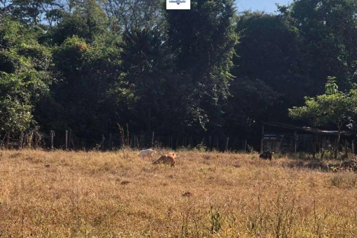 Chácara à venda no bairro Sítios de Recreio dos Bandeirantes em Goiânia/GO — foto