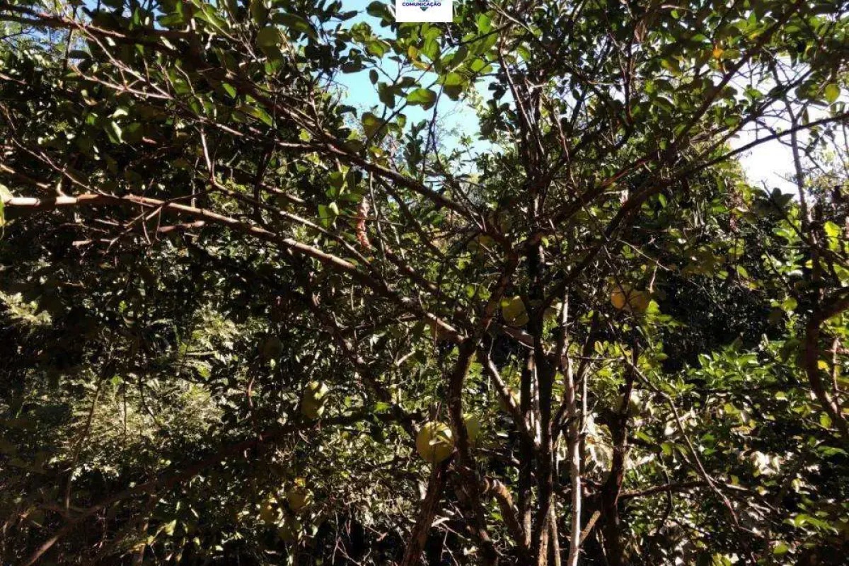 Chácara à venda no bairro Sítios de Recreio dos Bandeirantes em Goiânia/GO — foto