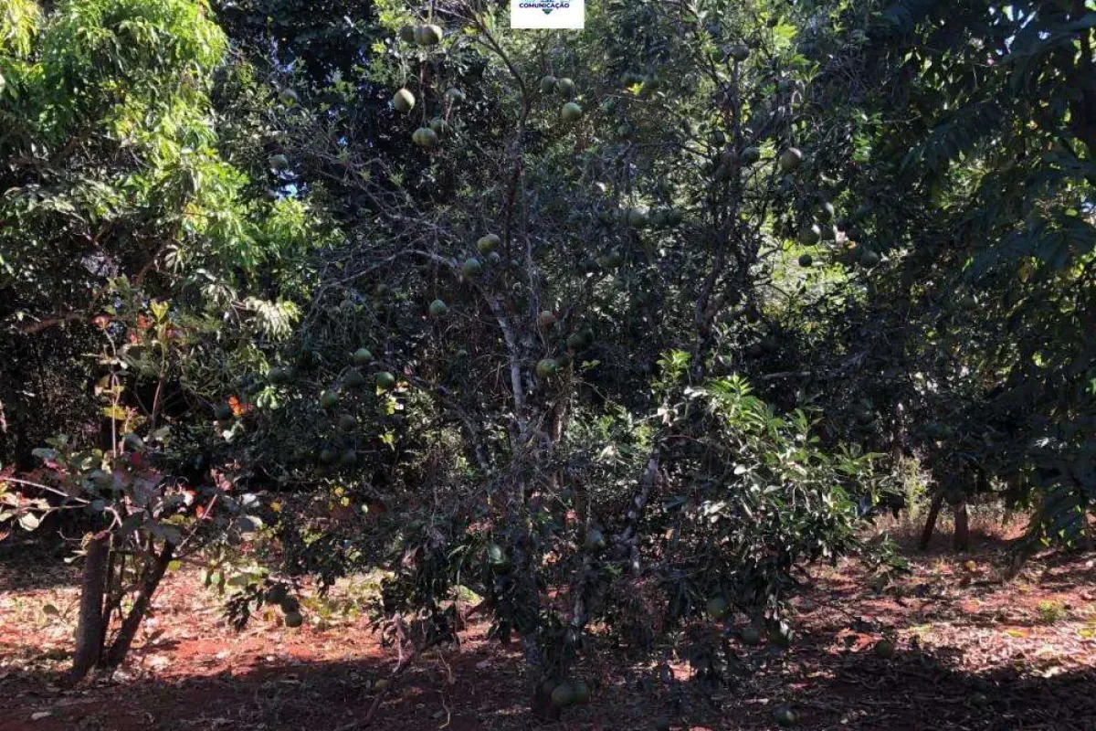Chácara à venda no bairro Sítios de Recreio dos Bandeirantes em Goiânia/GO — foto