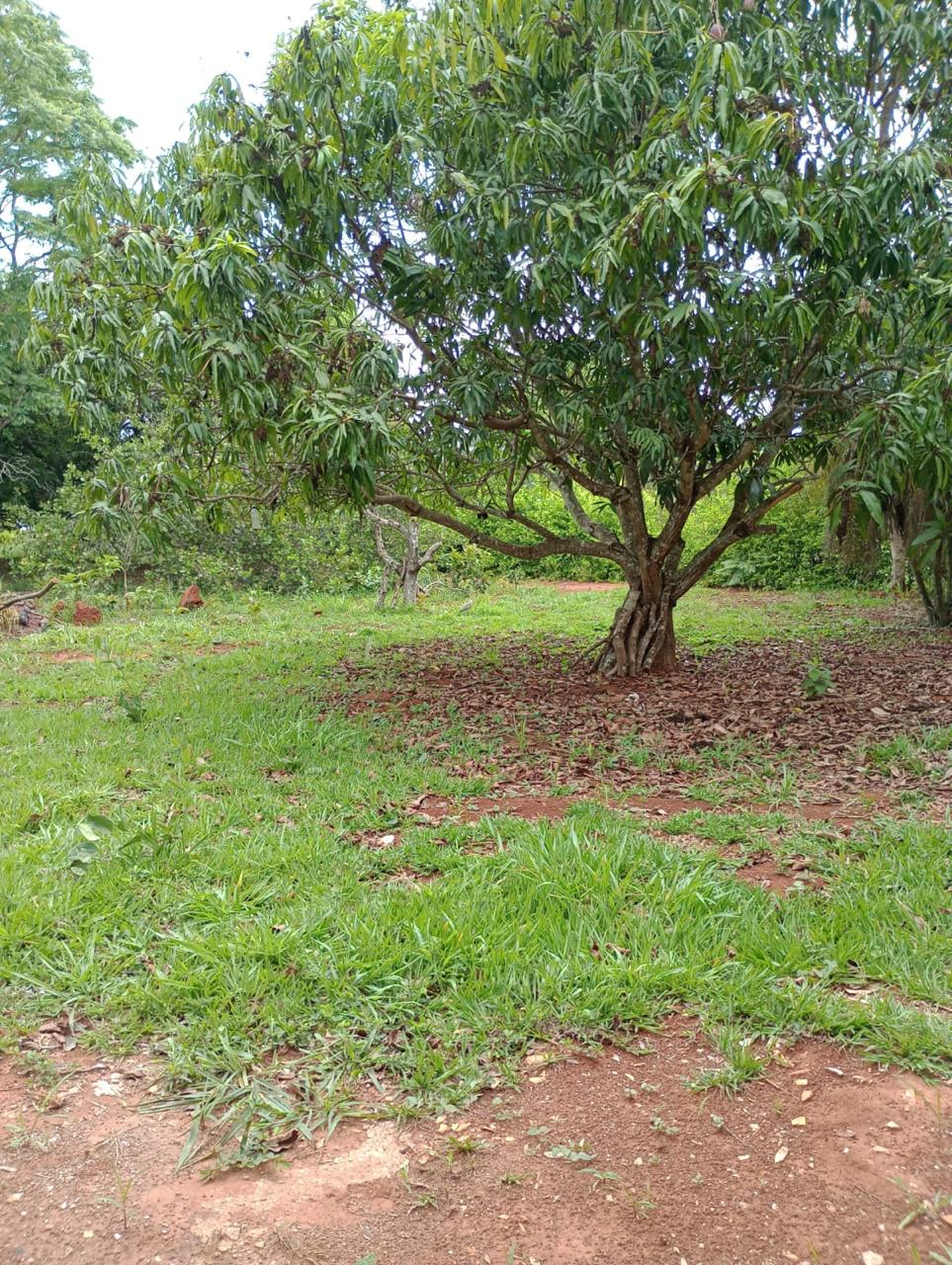 Chácara à Venda – Condomínio Sítio Recreio Encontro das Águas | Hidrolândia - GO — foto