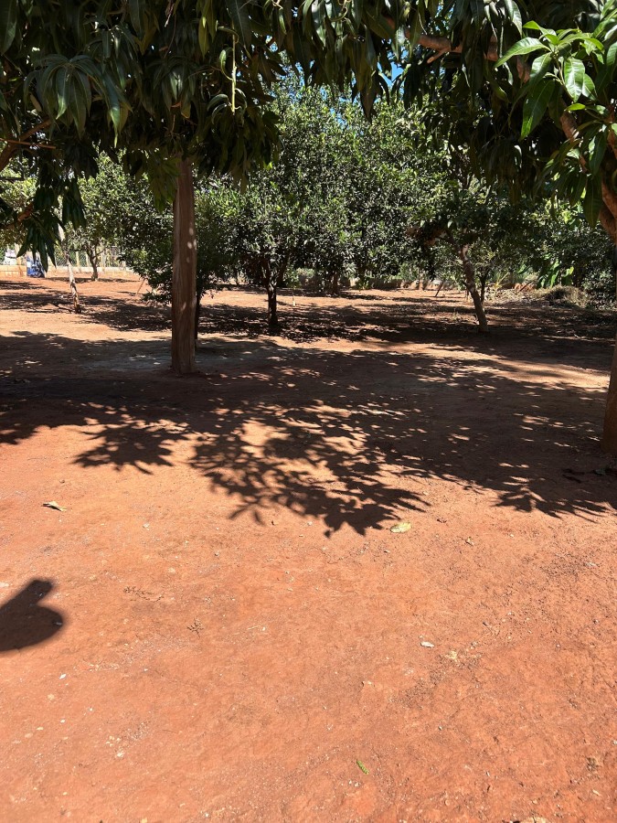 Casa para Venda em Indiara, Área Rural de Trindade, 4 dormitórios, 4 suítes, 4 banheiros — foto
