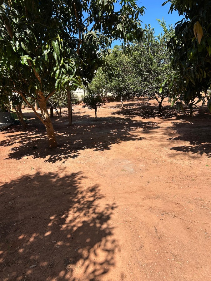 Casa para Venda em Indiara, Área Rural de Trindade, 4 dormitórios, 4 suítes, 4 banheiros — foto