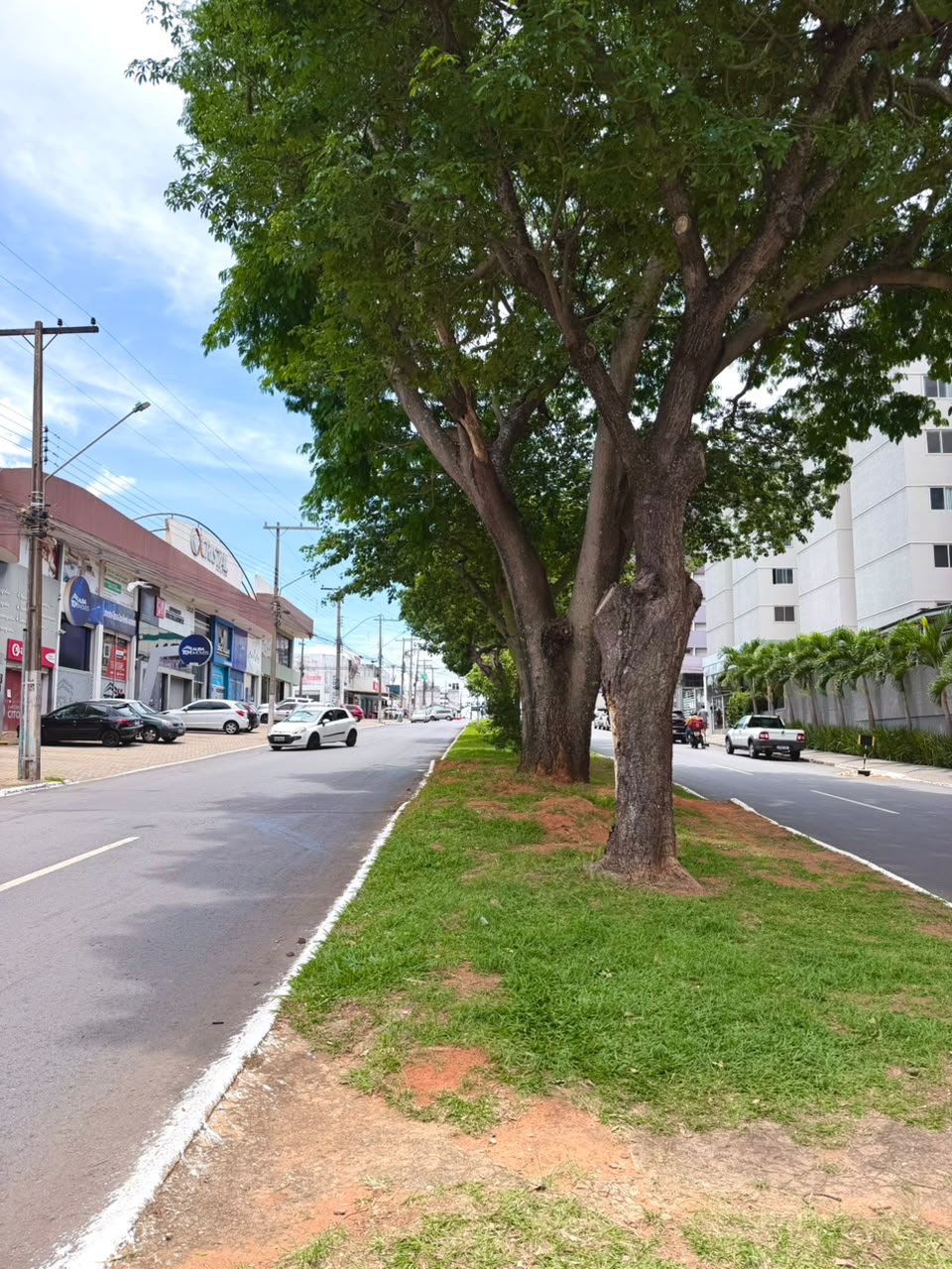 Terreno Comercial à Venda – Vila São Tomáz | Aparecida de Goiânia/GO — foto