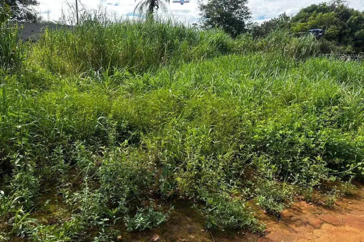Chácara à venda no bairro Cardoso Continuação em Aparecida de Goiânia/GO — foto