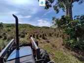 Fazenda à venda no bairro Rural em Rianápolis/GO — foto