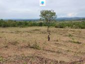 Fazenda à venda no bairro Rural em Rianápolis/GO — foto