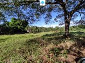 Fazenda à venda no bairro Rural em Rianápolis/GO — foto