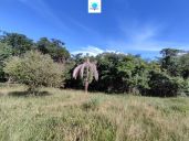 Fazenda à venda no bairro Rural em Rianápolis/GO — foto