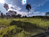 Fazenda à venda no bairro Rural em Rianápolis/GO — foto