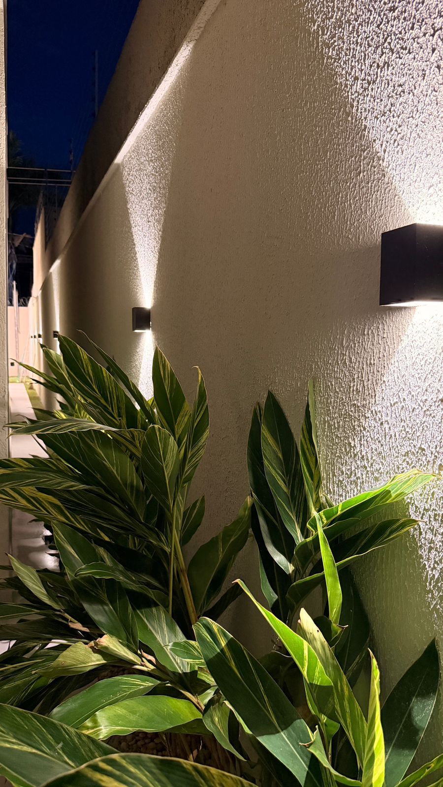 Casa, 4 quartos, 248 m² - Foto 4