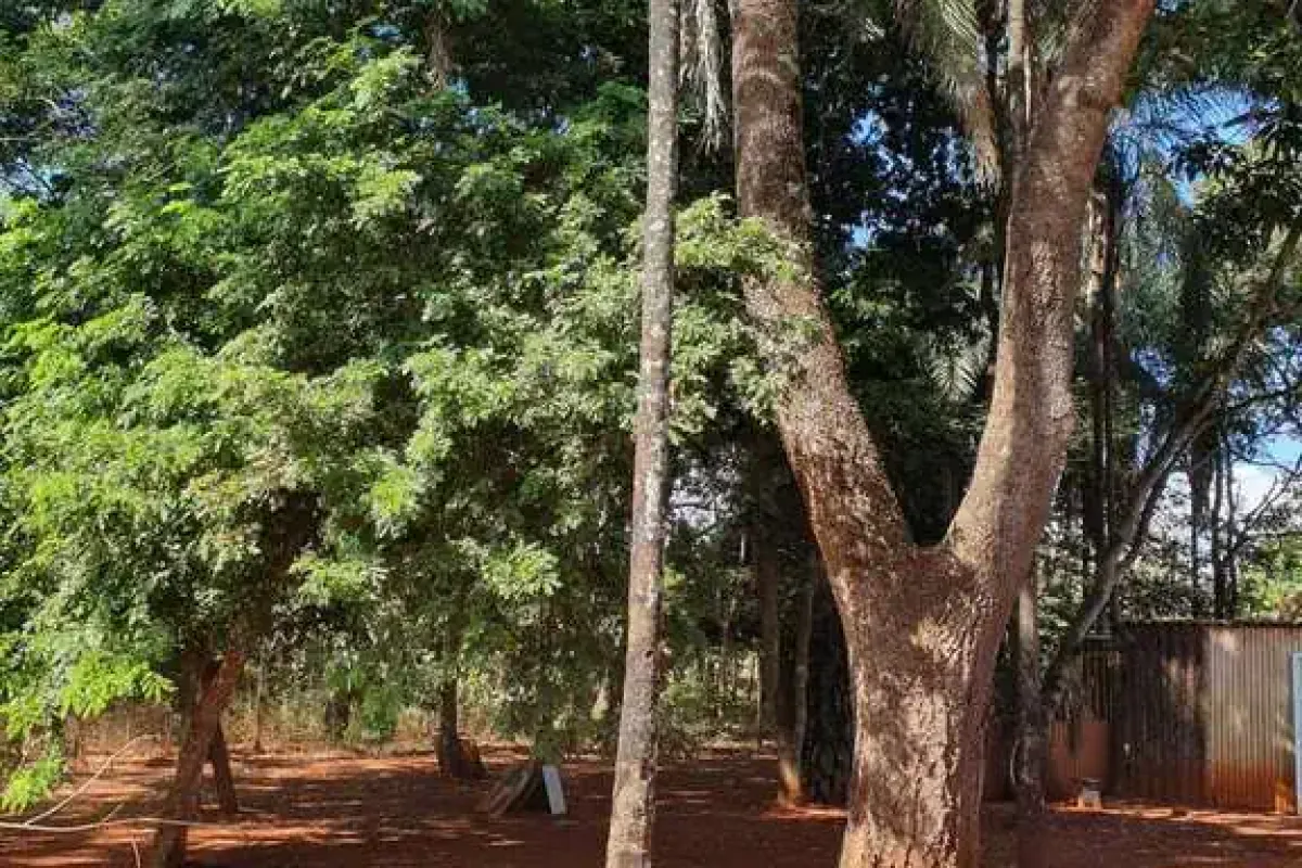 Chácara à venda no bairro Estância Vargem Bonita em Senador Canedo/GO — foto