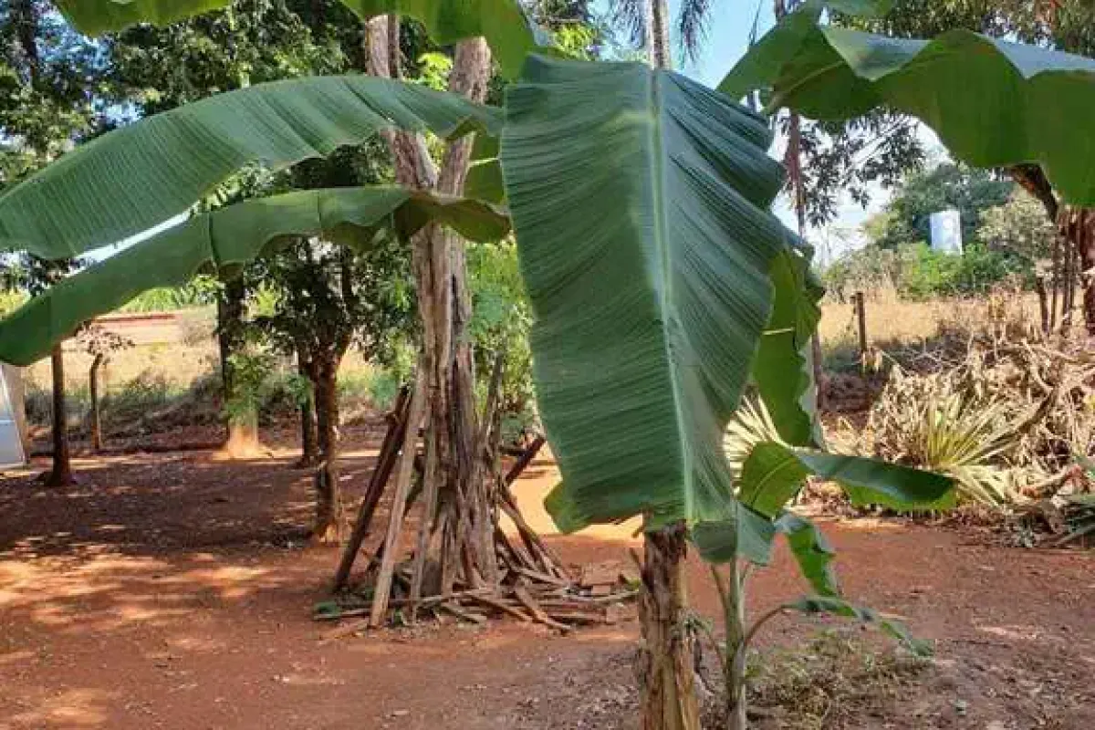 Chácara à venda no bairro Estância Vargem Bonita em Senador Canedo/GO — foto