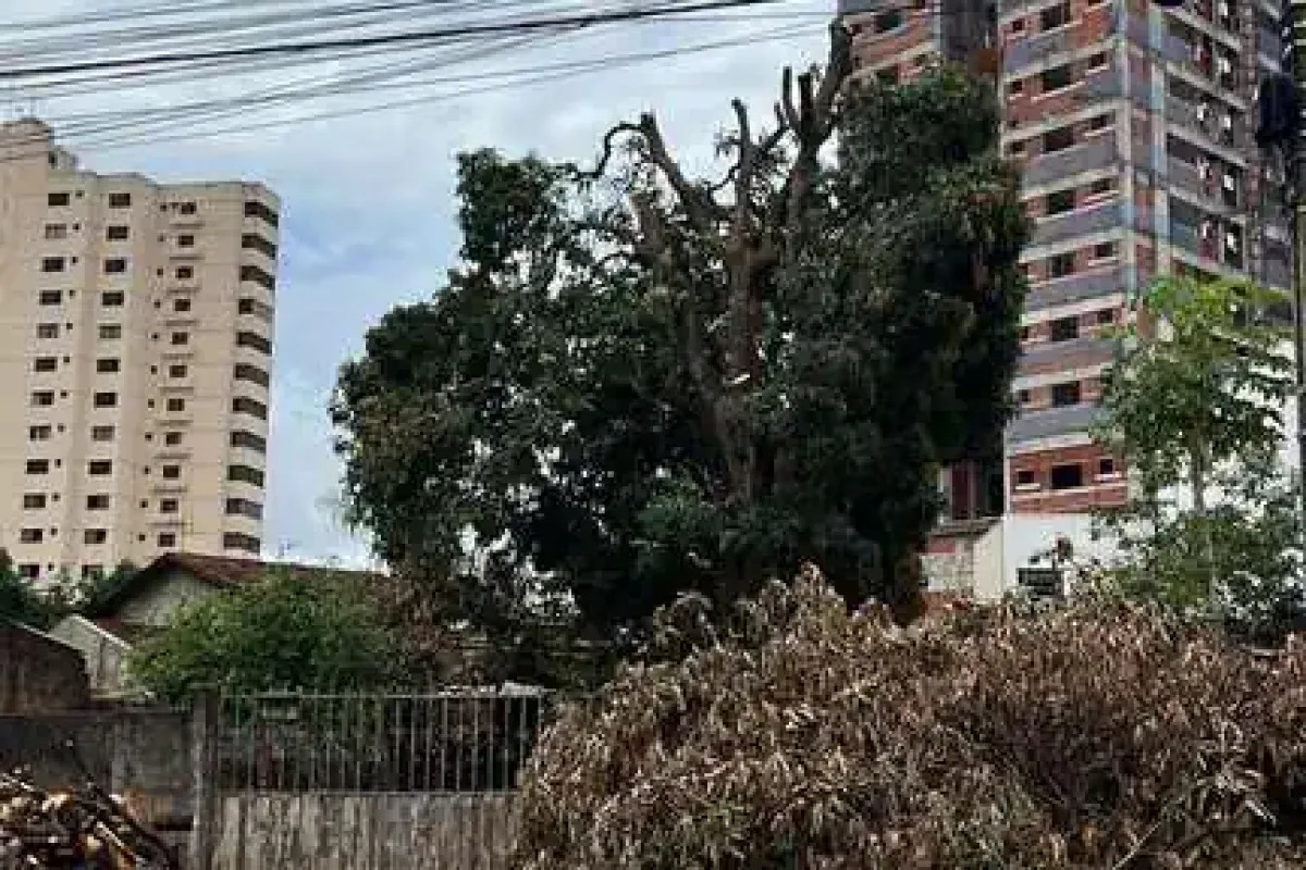 OPORTUNIDADE LOTE RESIDENCIAL E COMERCIAL - PARQUE AMAZÔNIA / GOIÂNIA/ 420MT. — foto