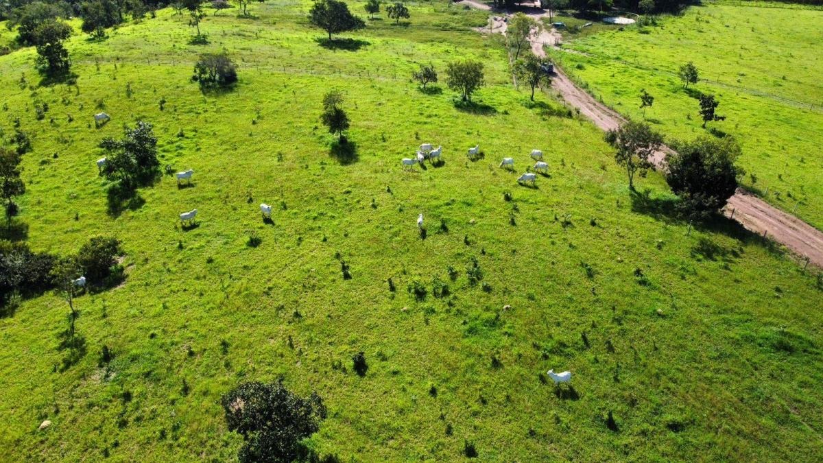 à Venda - Santo Antônio do Descoberto/GO — foto