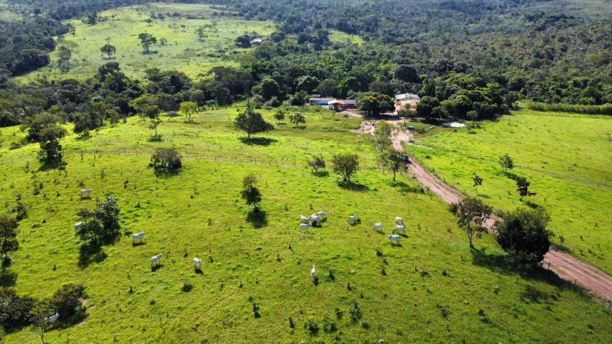 à Venda - Santo Antônio do Descoberto/GO — foto