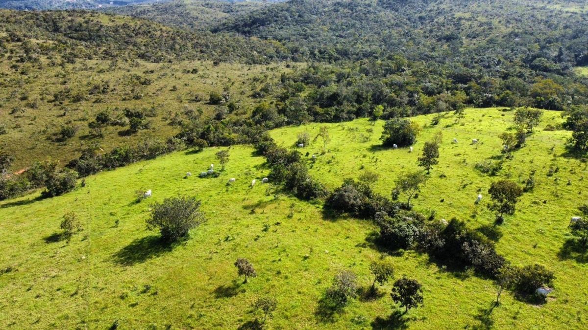 à Venda - Santo Antônio do Descoberto/GO — foto