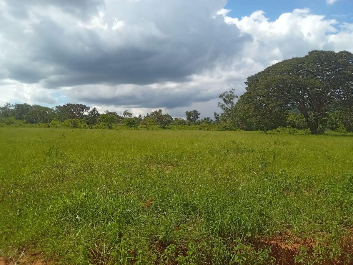 de 3,5 Alqueires com Acesso ao Lago Corumbá 4 - Alexânia — foto