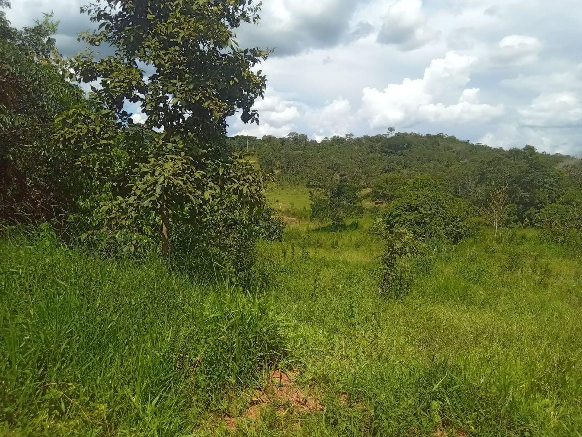 de 3,5 Alqueires com Acesso ao Lago Corumbá 4 - Alexânia — foto