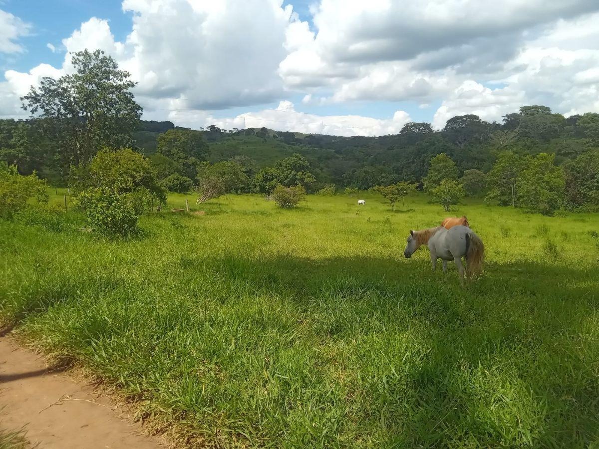 de 3,5 Alqueires com Acesso ao Lago Corumbá 4 - Alexânia — foto