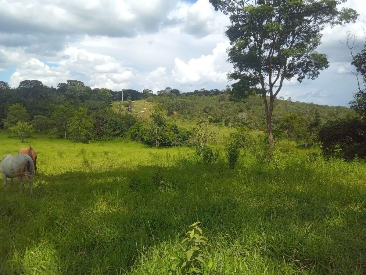 de 3,5 Alqueires com Acesso ao Lago Corumbá 4 - Alexânia — foto