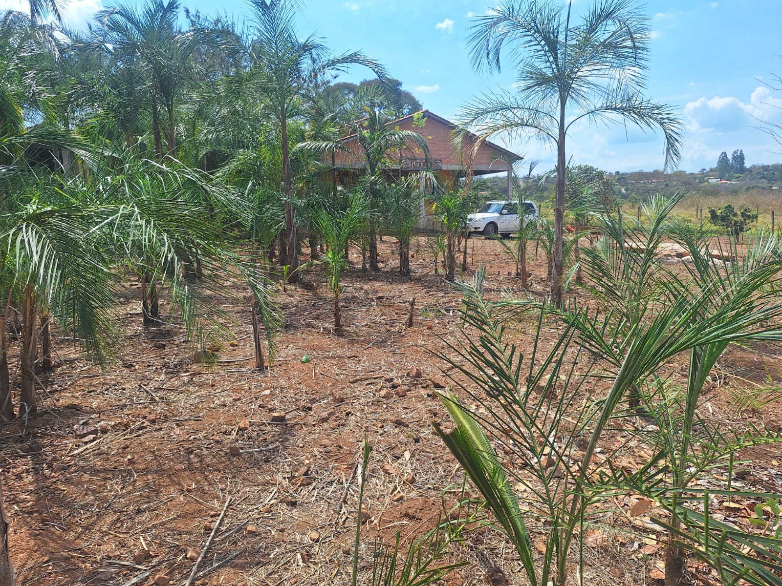 Rancho à Venda - Setor de Chácaras Veredas do Corumbá | Alexânia/GO — foto