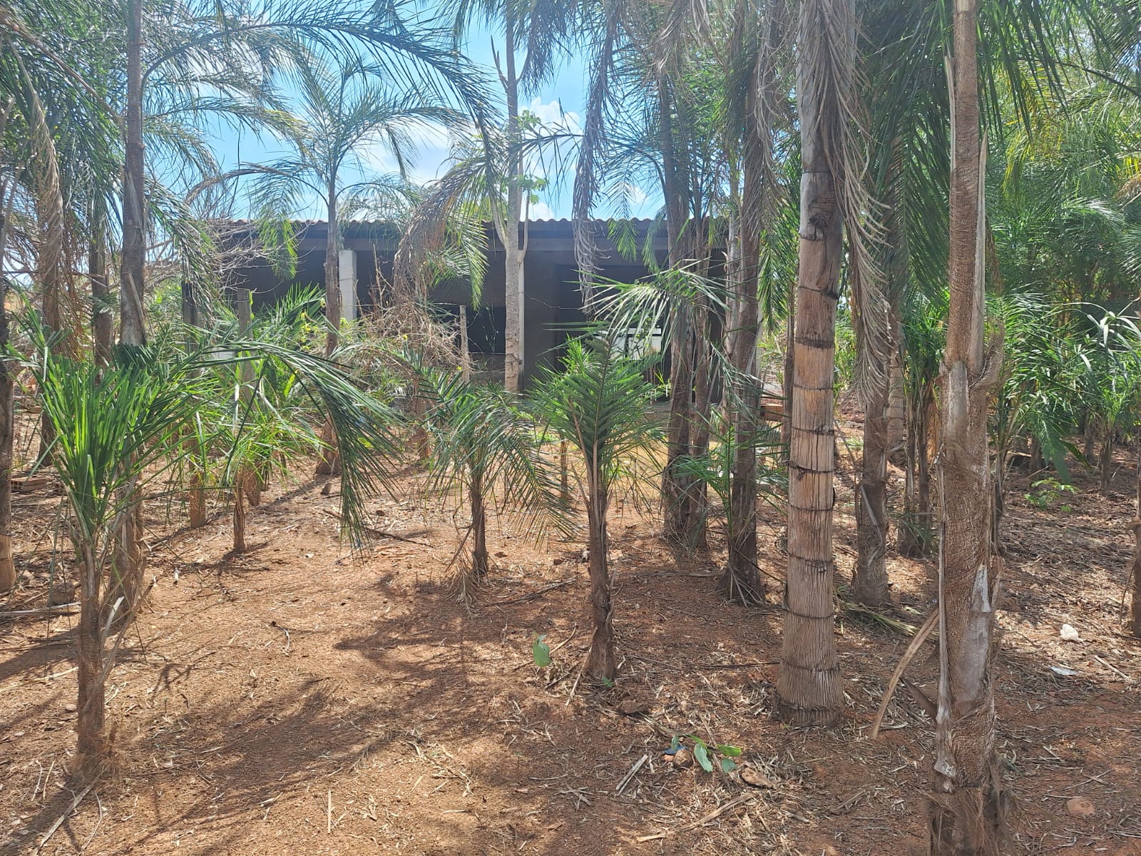 Rancho à Venda - Setor de Chácaras Veredas do Corumbá | Alexânia/GO — foto