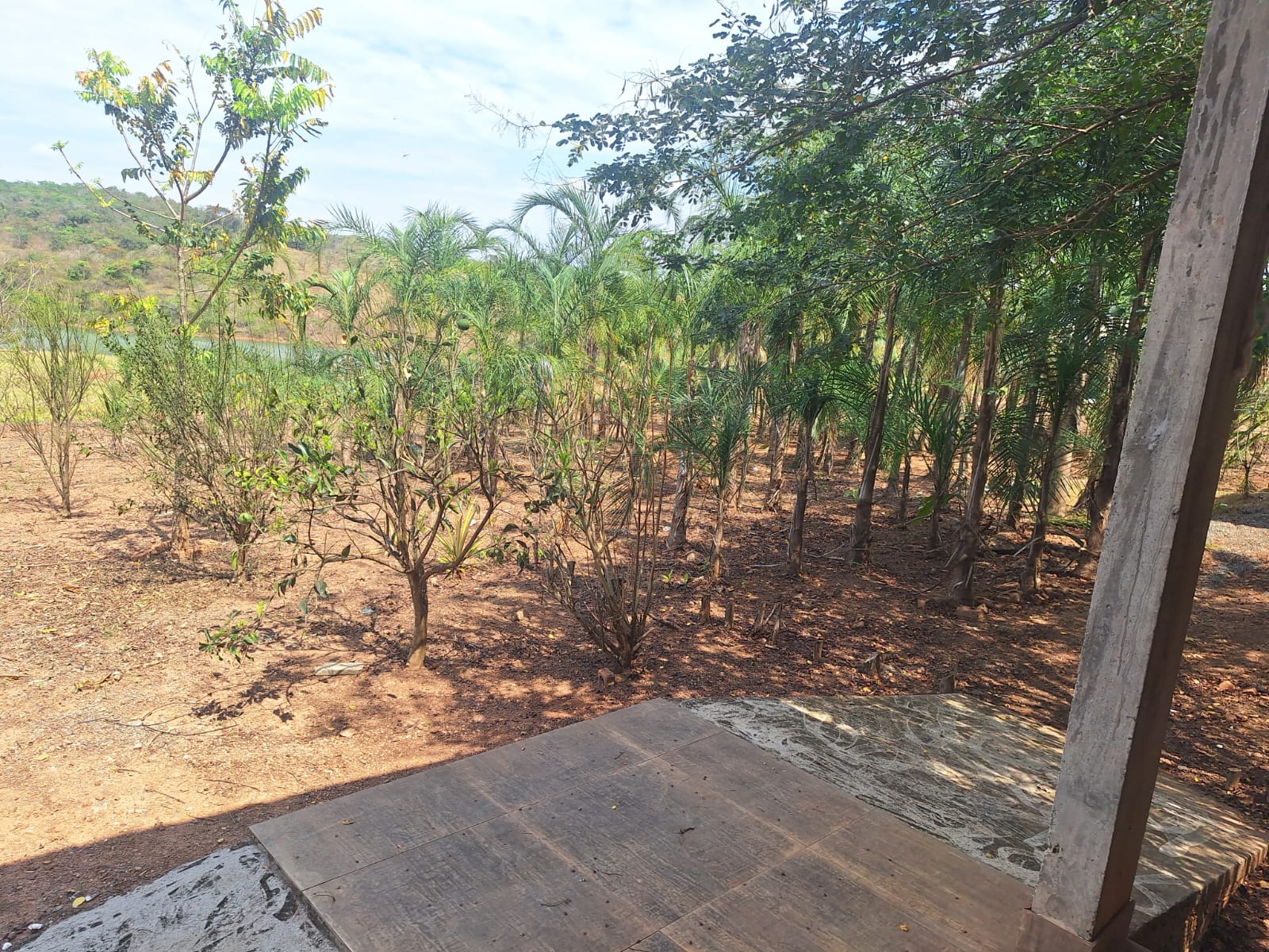 Rancho à Venda - Setor de Chácaras Veredas do Corumbá | Alexânia/GO — foto